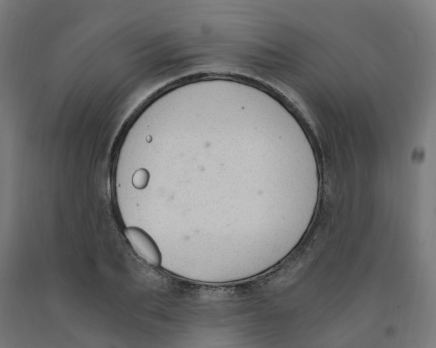 X0000091900887200710031820