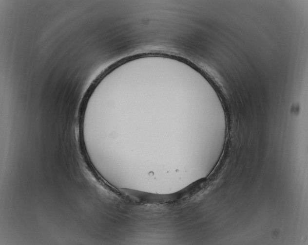 X0000091900888200710031820