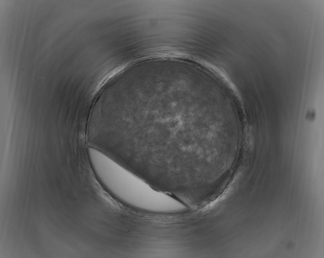 X0000091900889200710031820