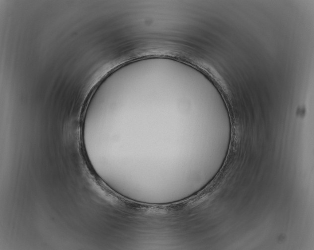 X0000091900890200710031820