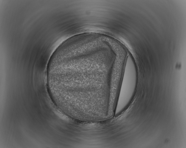 X0000091900891200710031820