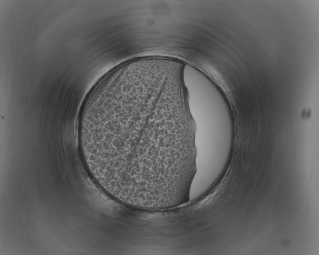 X0000091900892200710031820