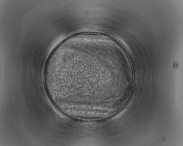 X0000091900893200710031820