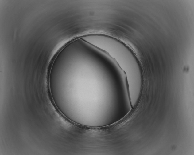 X0000091900894200710031820