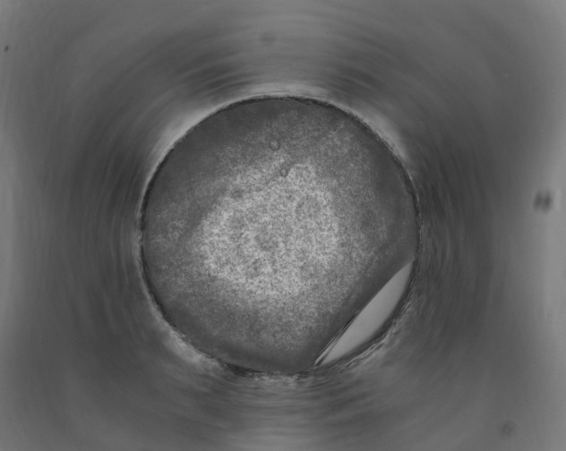 X0000091900895200710031820