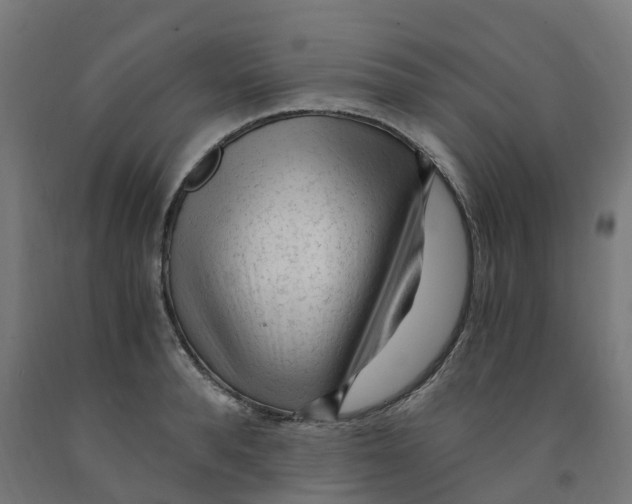 X0000091900896200710031820