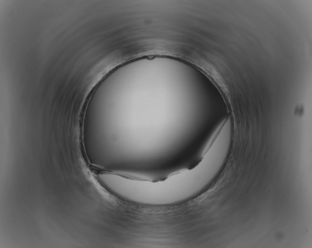 X0000091900898200710031820