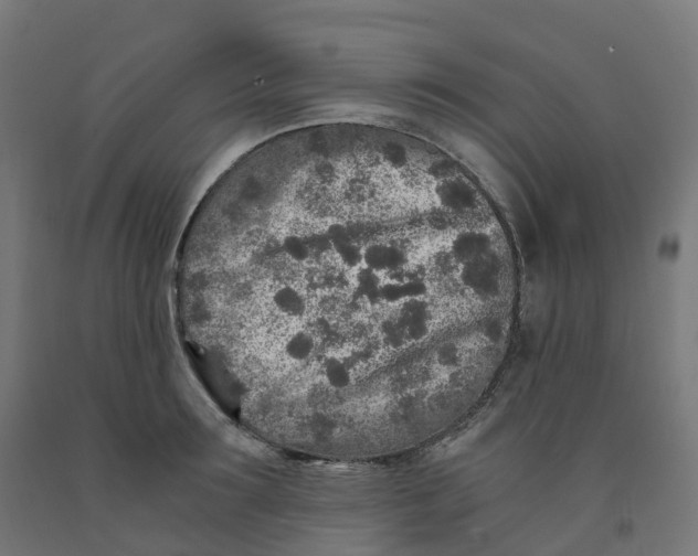 X0000091900899200710031820