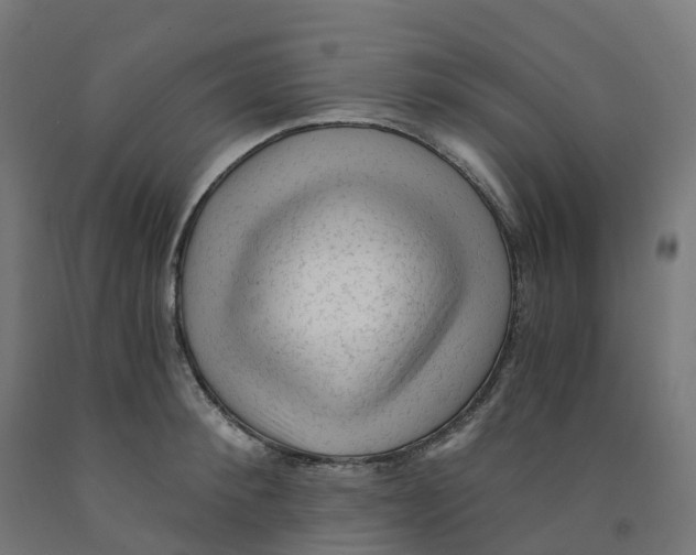 X0000091900900200710031820