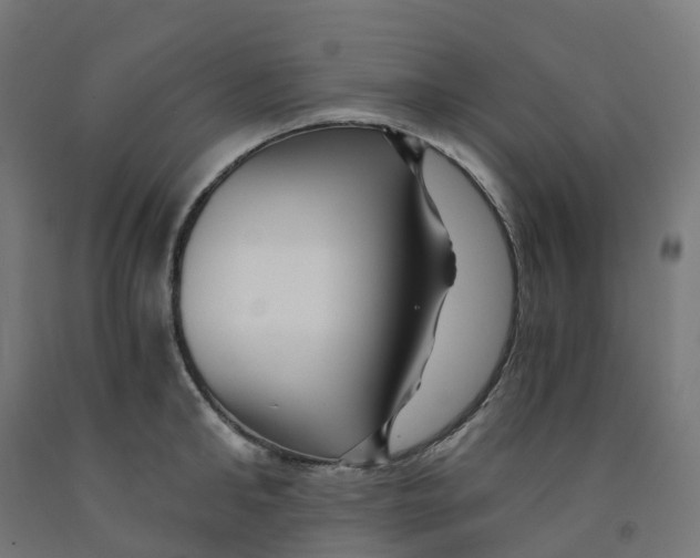 X0000091900902200710031820