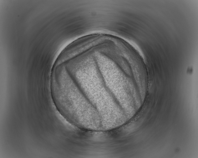 X0000091900903200710031820