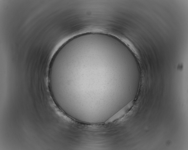 X0000091900904200710031820