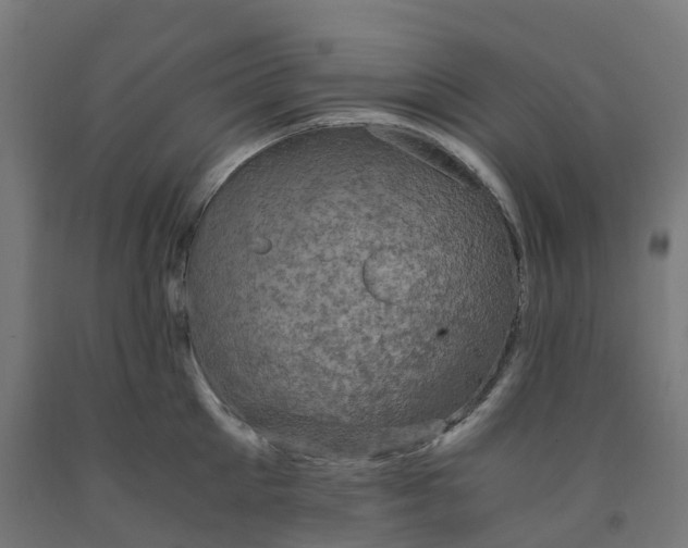 X0000091900905200710031820