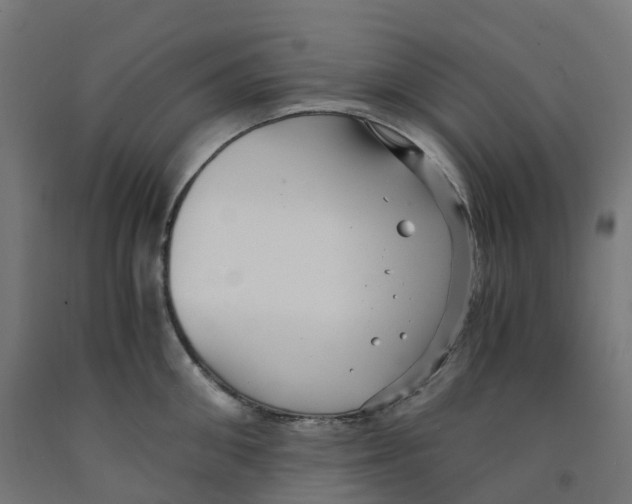 X0000091900906200710031820