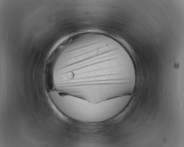 X0000091900910200710031820