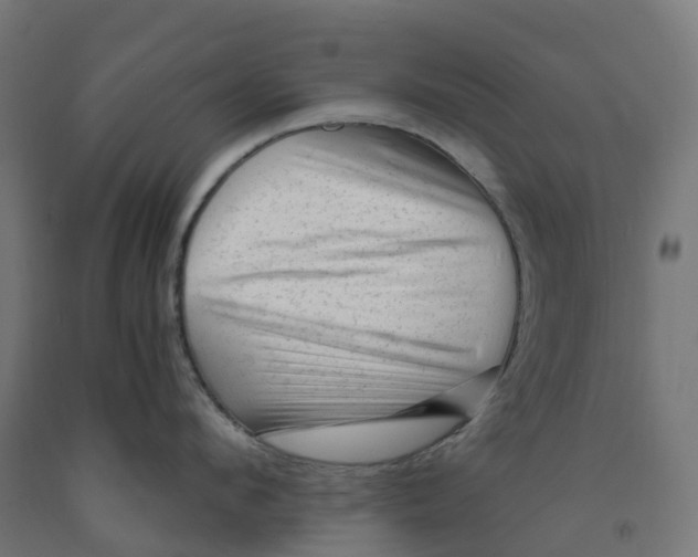 X0000091900912200710031820