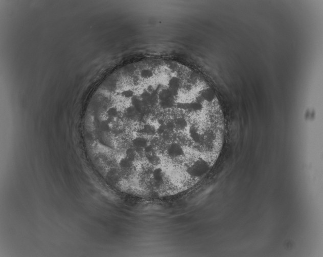 X0000091900913200710031819