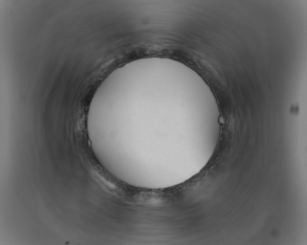 X0000091900914200710031819