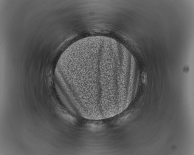 X0000091900915200710031819