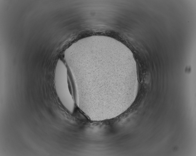 X0000091900916200710031819