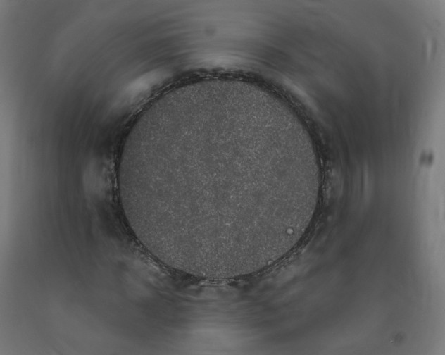 X0000091900918200710031819