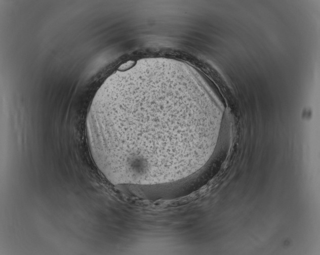 X0000091900919200710031819