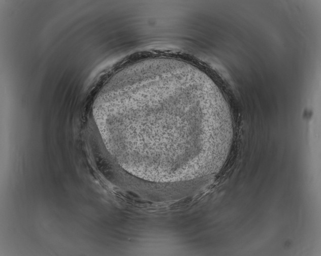 X0000091900920200710031819