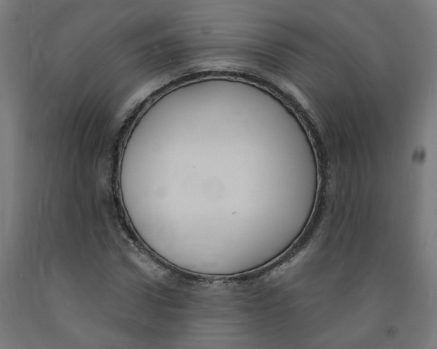 X0000091900922200710031819