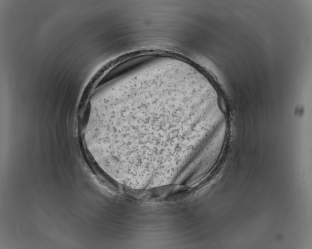 X0000091900924200710031819