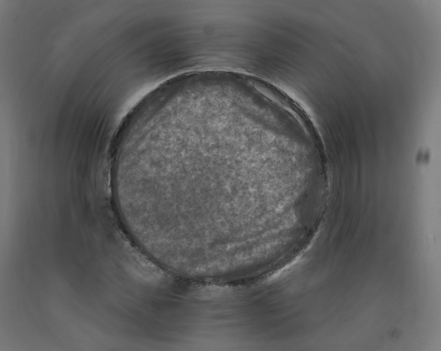 X0000091900925200710031819