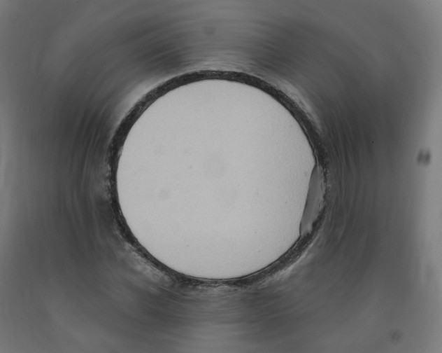 X0000091900926200710031819