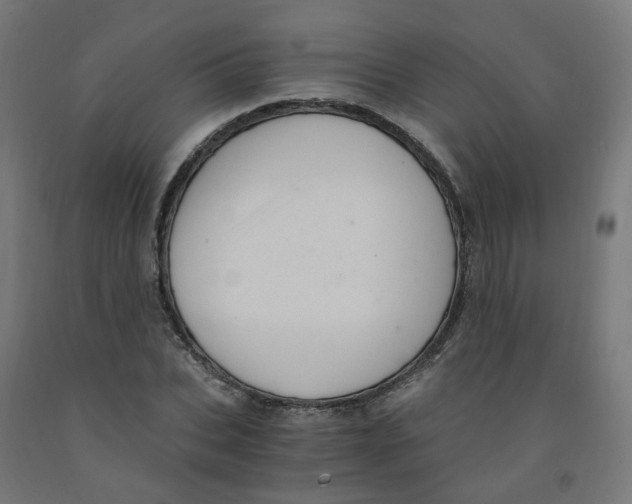 X0000091900927200710031819