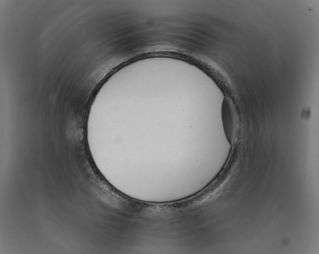 X0000091900929200710031819