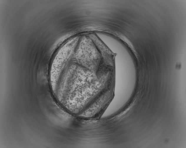 X0000091900930200710031819