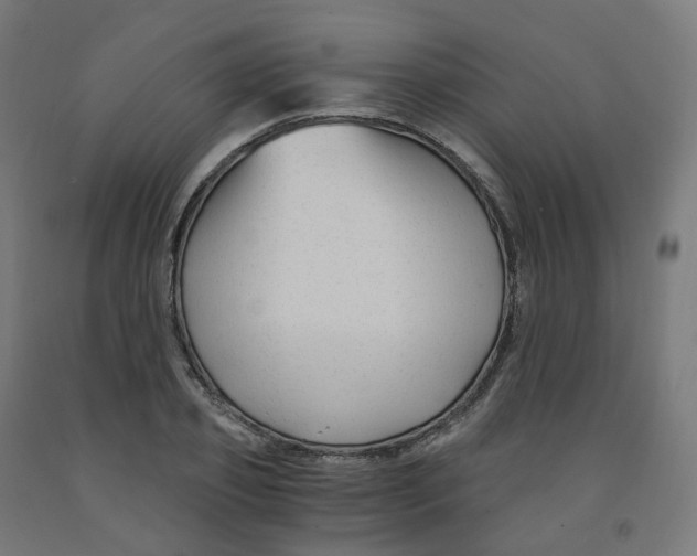 X0000091900933200710031819