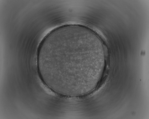 X0000091900934200710031819