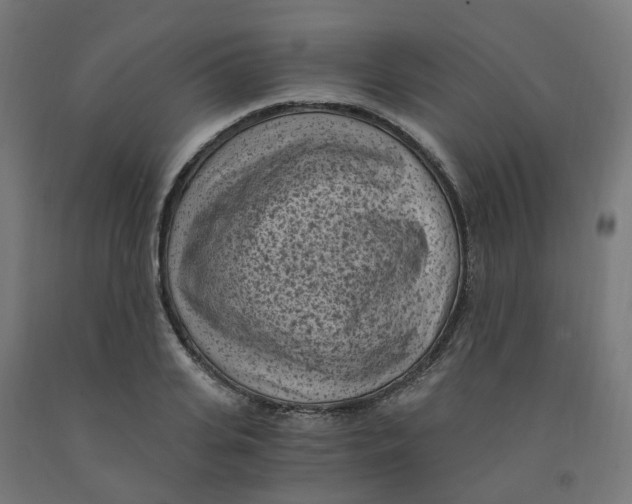 X0000091900935200710031819