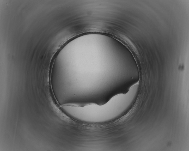 X0000091900938200710031819