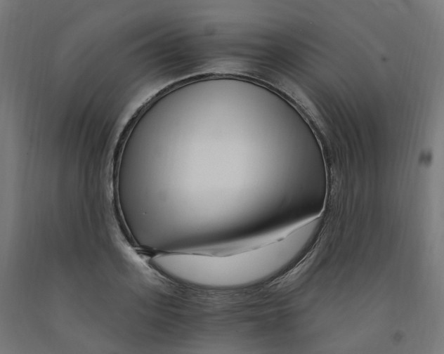 X0000091900939200710031819