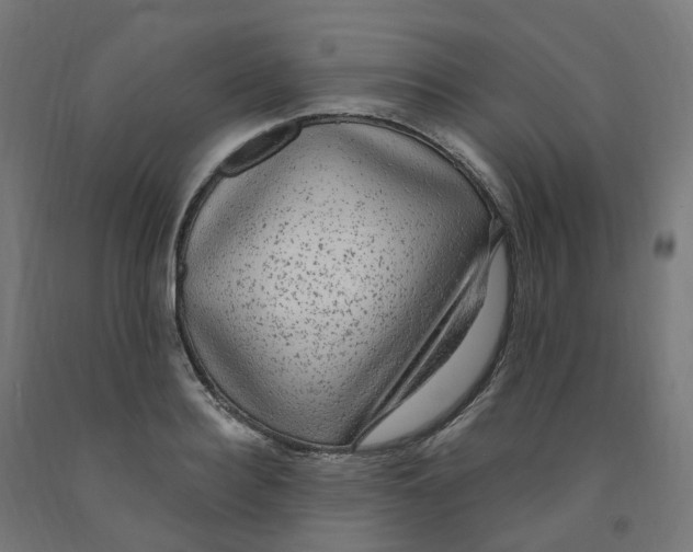 X0000091900940200710031819