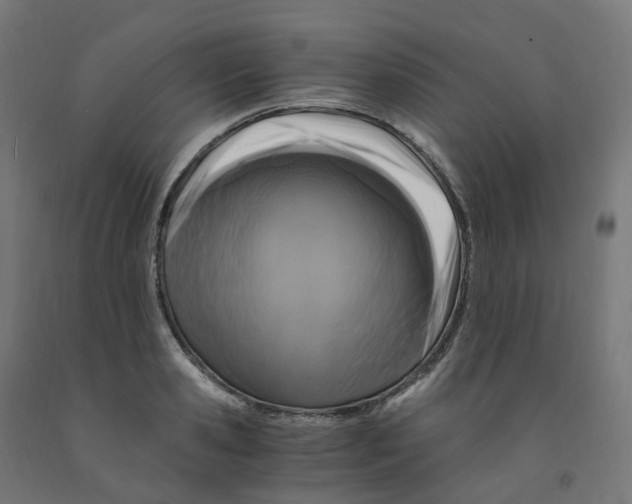 X0000091900941200710031819