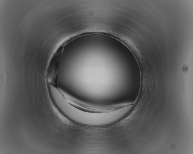 X0000091900942200710031819