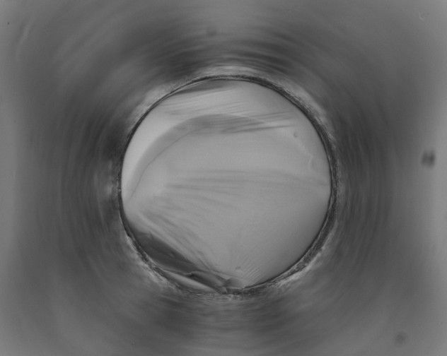 X0000091900945200710031819