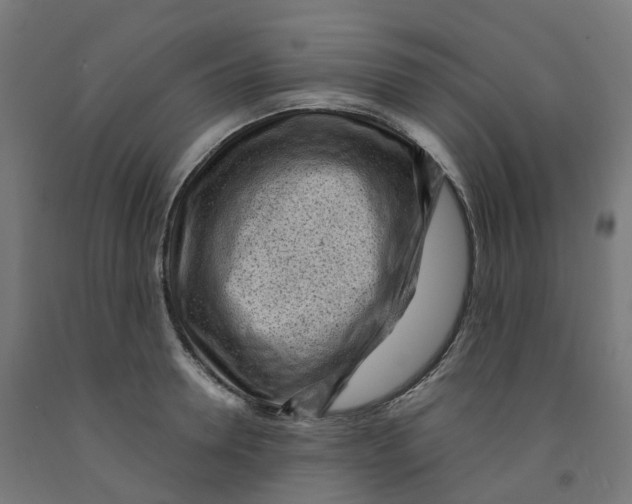 X0000091900946200710031819