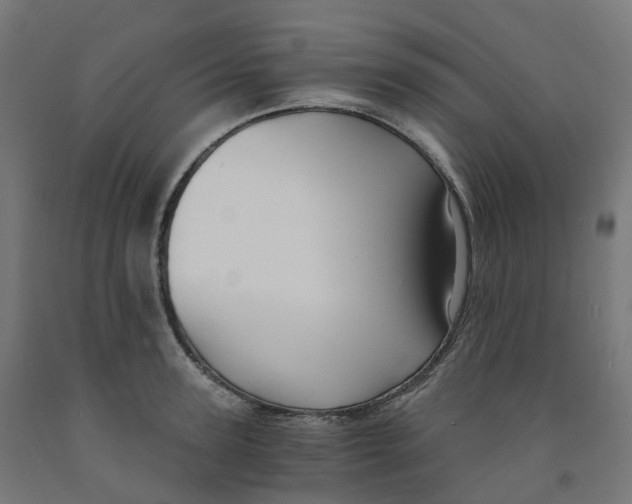 X0000091900947200710031819