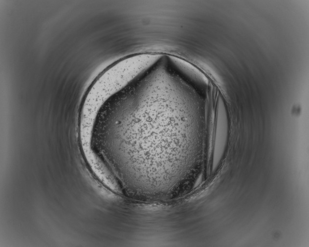 X0000091900948200710031819