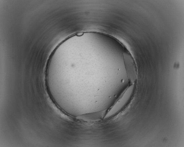 X0000091900949200710031819