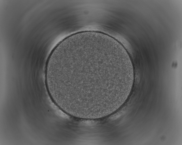 X0000091900950200710031819