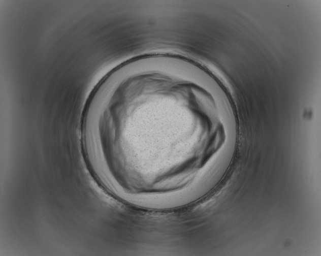 X0000091900951200710031819