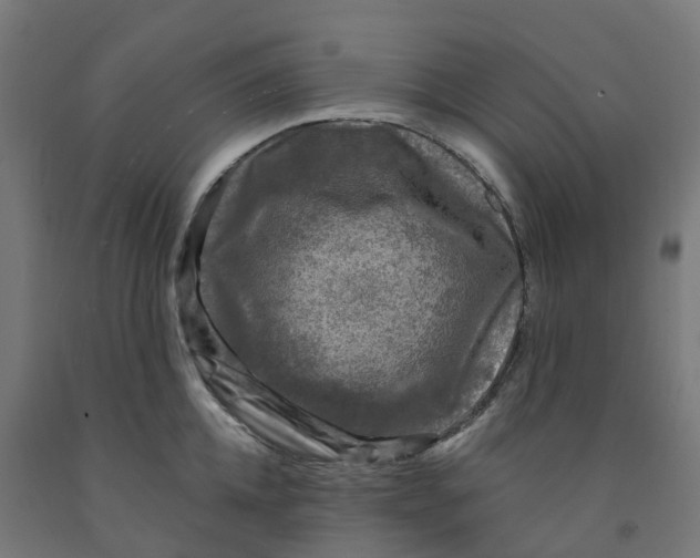 X0000091900952200710031819